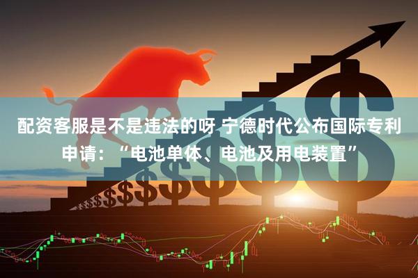 配资客服是不是违法的呀 宁德时代公布国际专利申请：“电池单体、电池及用电装置”