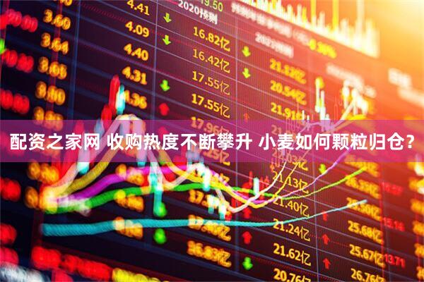 配资之家网 收购热度不断攀升 小麦如何颗粒归仓？