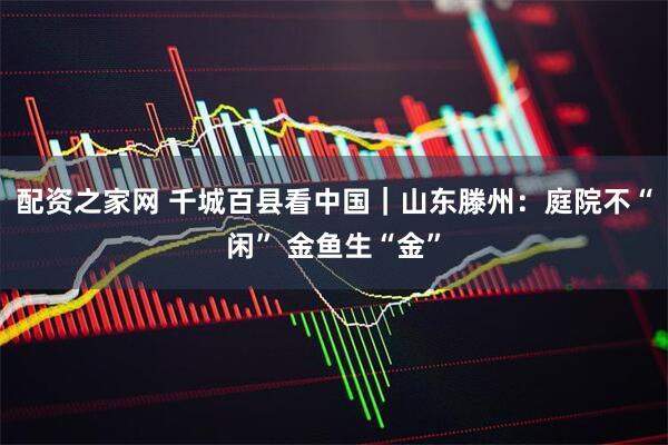 配资之家网 千城百县看中国｜山东滕州：庭院不“闲” 金鱼生“金”
