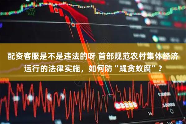 配资客服是不是违法的呀 首部规范农村集体经济运行的法律实施，如何防“蝇贪蚁腐”？